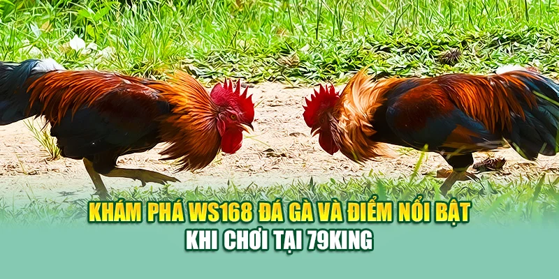 Khám phá WS168 đá gà và điểm nổi bật khi chơi tại 79King