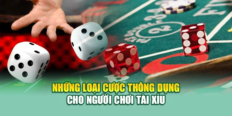 Những loại cược thông dụng cho người chơi tài xỉu
