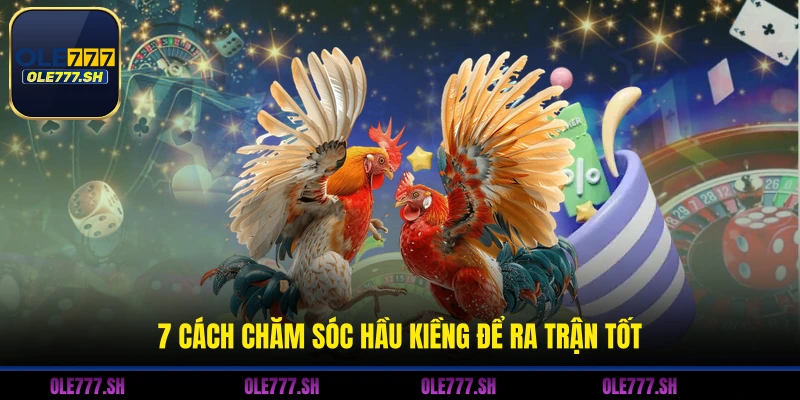 7 cách chăm sóc hầu kiềng để ra trận tốt