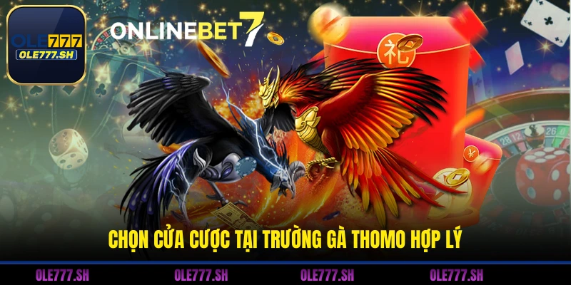 Chọn cửa cược tại trường gà Thomo hợp lý