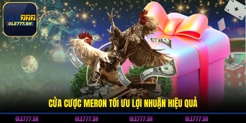 Cửa cược Meron tối ưu lợi nhuận hiệu quả