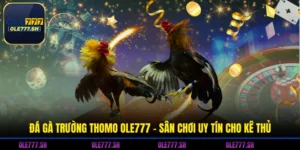 Đá Gà Trường Thomo OLE777 - Sân Chơi Uy Tín Cho Kê Thủ