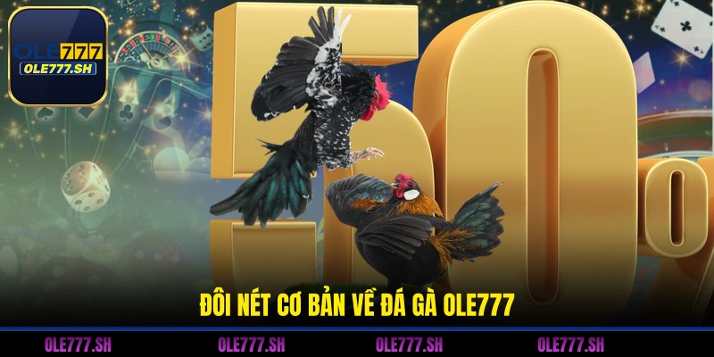 Đôi nét cơ bản về đá gà OLE777