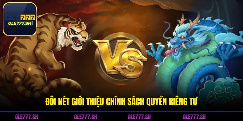 Đôi nét giới thiệu chính sách quyền riêng tư