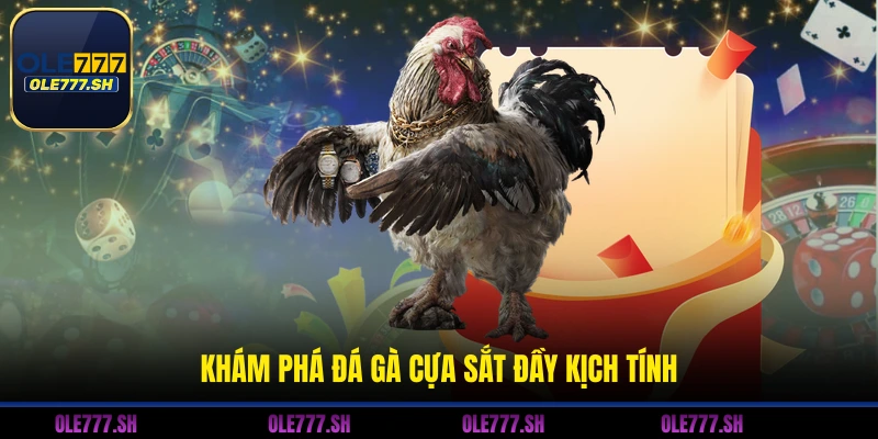 Khám phá đá gà cựa sắt đầy kịch tính