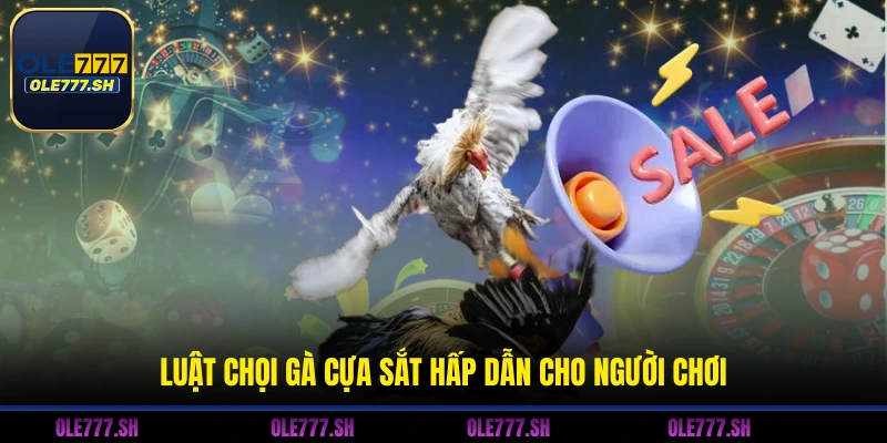 Luật chọi gà cựa sắt hấp dẫn cho người chơi