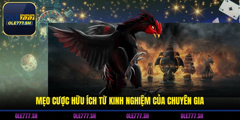 Mẹo cược hữu ích từ kinh nghiệm của chuyên gia