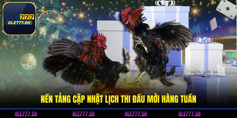 Nền tảng cập nhật lịch thi đấu mới hàng tuần