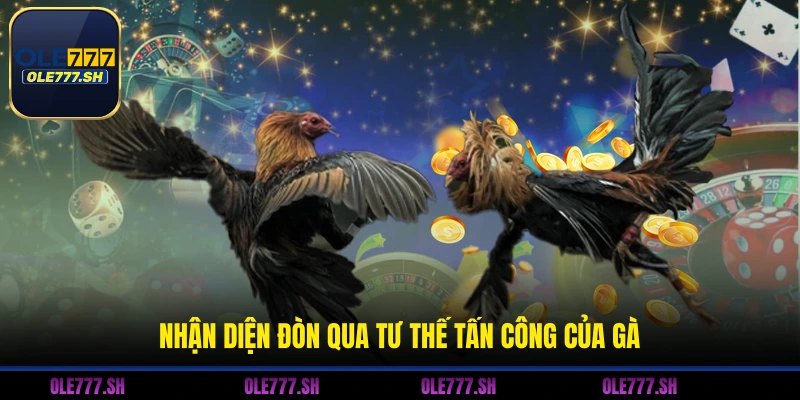 Nhận diện đòn qua tư thế tấn công của gà