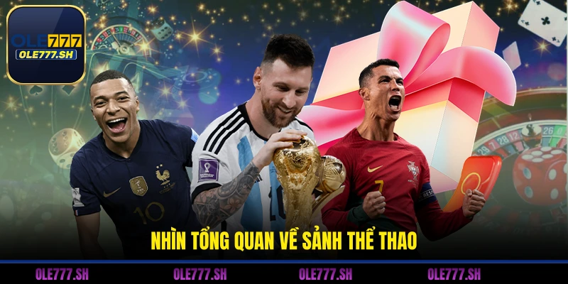 Nhìn tổng quan về sảnh thể thao 