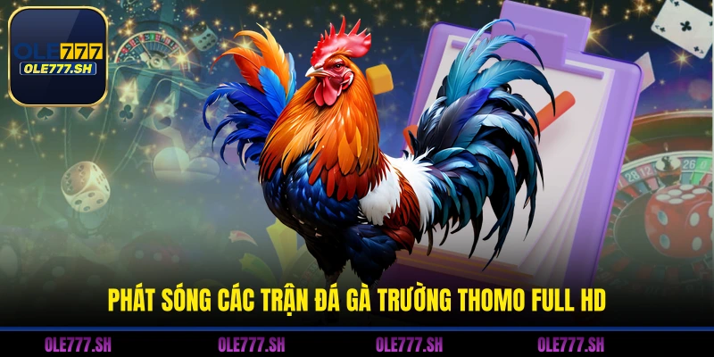 Phát sóng các trận đá gà trường Thomo Full HD