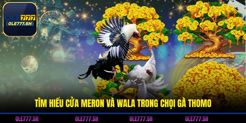 Tìm hiểu cửa Meron và Wala trong chọi gà Thomo