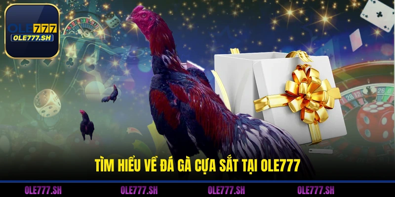 Tìm hiểu về đá gà cựa sắt tại OLE777