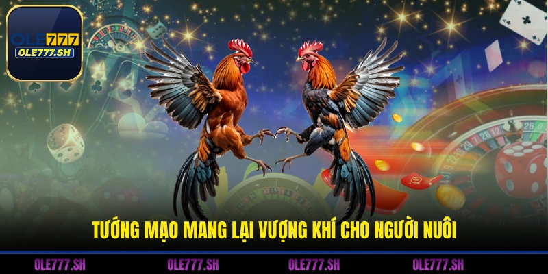 Tướng mạo mang lại vượng khí cho người nuôi